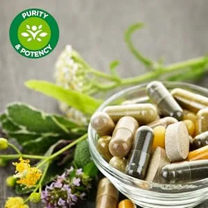 Swanson Pycnogenol 100 Milligrams 30 Capsules 2 Pack - Purity & Potency