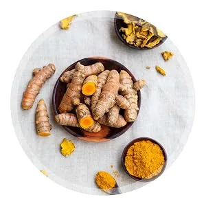 Liquid Turmeric Curcumin with Bioperine offering Best Absorption. Turmeric Extract with Black Pepper for Back, Knees and Hand Discomfort. Turmeric Drops for Joint Support - Safe