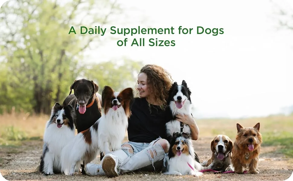 Pet-Tabs Plus Multivitamin and Mineral Supplement for Dogs with Special Nutritional Needs Chewable Tablet 180 Count Bottle - image