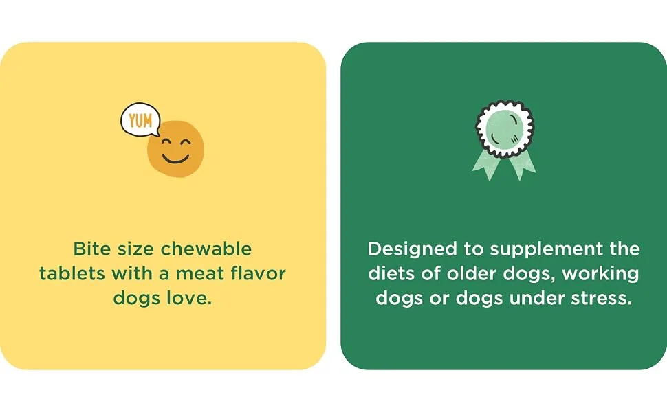 Pet-Tabs Plus Multivitamin and Mineral Supplement for Dogs with Special Nutritional Needs Chewable Tablet 180 Count Bottle - image