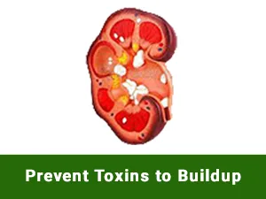 Planet Ayurveda Rencure Formula 2 Bottles 60 Capsules Each - Prevent Toxin