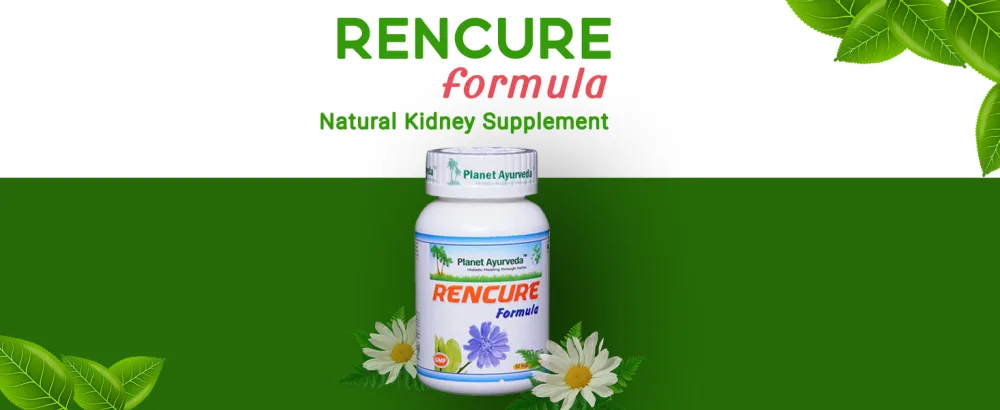 Planet Ayurveda Rencure Formula 2 Bottles 60 Capsules Each - Rencure formula