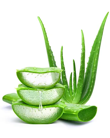 TriDerma Soothing Shampoo Value 4-Pack - Complejo exclusivo de Aloe Vera AP4 para productos para cuidado de piel