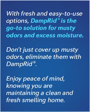 DampRid Hi-Capacity Moisture Absorber Bucket Fragrance Free 2 lb. 15.5 oz. & Moisture Detection Strip (2 Pack) Attracts & Traps Excess Moisture - DampRid