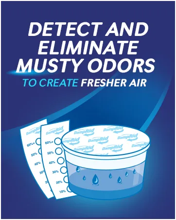 DampRid Hi-Capacity Moisture Absorber Bucket Fragrance Free 2 lb. 15.5 oz. & Moisture Detection Strip (2 Pack) Attracts & Traps Excess Moisture - Detect