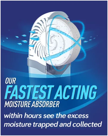 DampRid Hi-Capacity Moisture Absorber Bucket Fragrance Free 2 lb. 15.5 oz. & Moisture Detection Strip (2 Pack) Attracts & Traps Excess Moisture - Fast Acting