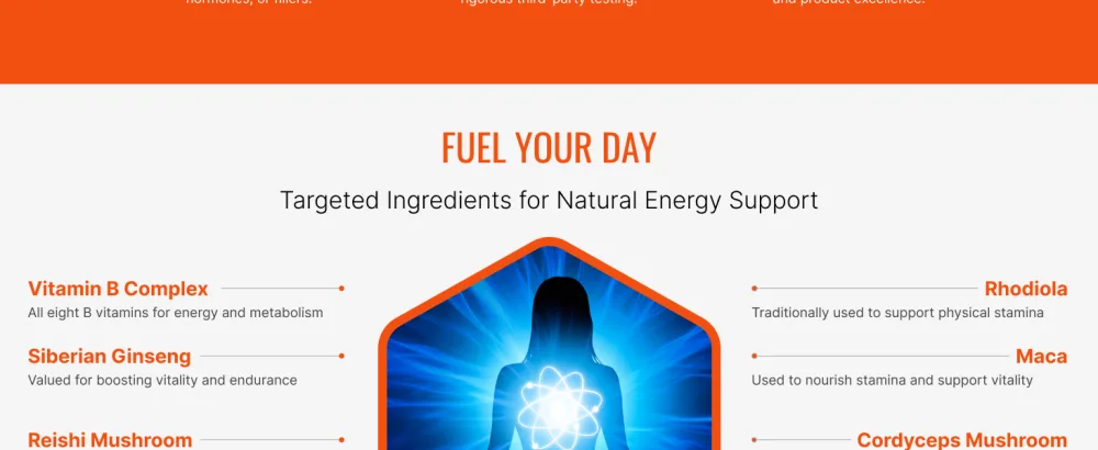 Approved Science Energysyl - Caffeine Free - with Adaptogens B Vitamins Bioperine - 360 Capsules - 6 Month Supply 180 Count (Pack of 2) - energysyl