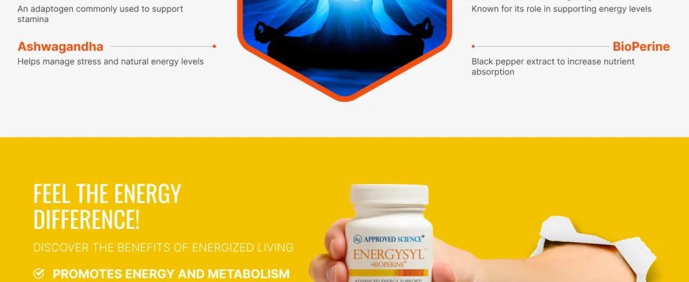 Approved Science Energysyl - Caffeine Free - with Adaptogens B Vitamins Bioperine - 360 Capsules - 6 Month Supply 180 Count (Pack of 2) - energysyl