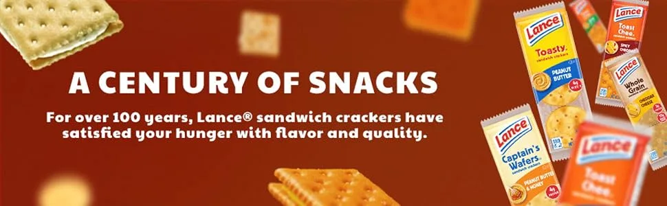 Lance Sandwich Crackers Toasty Cheddar 8 Individually Wrapped Packs 6 Sandwiches Each 10 Ounce (Pack of 8) - image