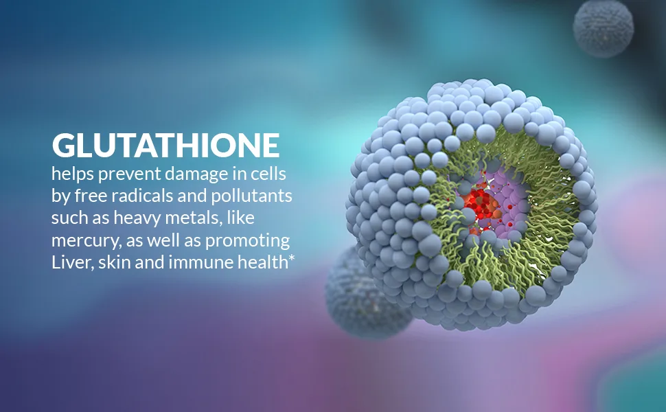 Liposomal Glutathione - Highly Advanced Antioxidant, Setria Glutathione, 500MG per Serving, 30 Servings Per Bottle - 500 mg liposomal glutathione