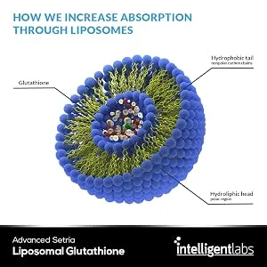 Liposomal Glutathione - Highly Advanced Antioxidant, Setria Glutathione, 500MG per Serving, 30 Servings Per Bottle - liposomes, liposomal