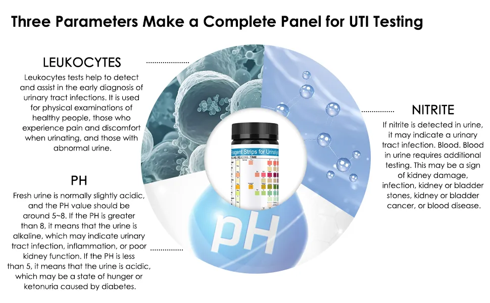 Urine Test Strips 14 Parameters 100 Count - uti test