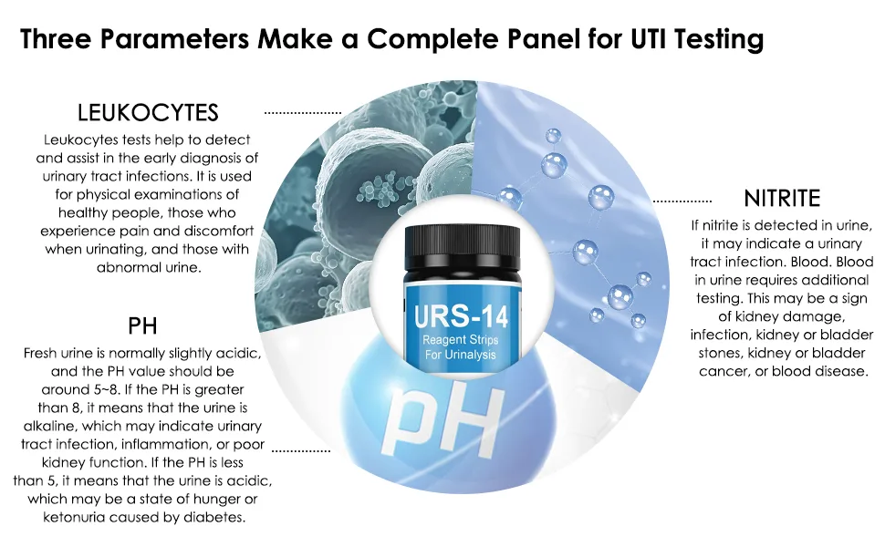 Urine Test Strips 14 Parameters 100 Count Urinalysis Urine Test Strip for UTI Keto Ketosis Protein Specific Gravity Ketone - urine test strips