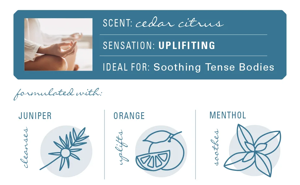 Village Naturals Therapy Tension Moisturizing Shea Butter Lotion Cedar Citrus Soothe Daily 6-Pack - Cedar Citrus Scent