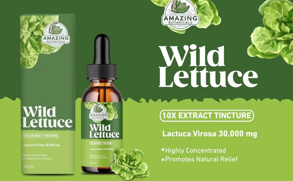 Wild Lettuce 10X Extract Tincture 30 000 mg (2oz / 60ml Wild Lettuce) 2 Fl Oz (Pack of 1) - wild lettuce tincture