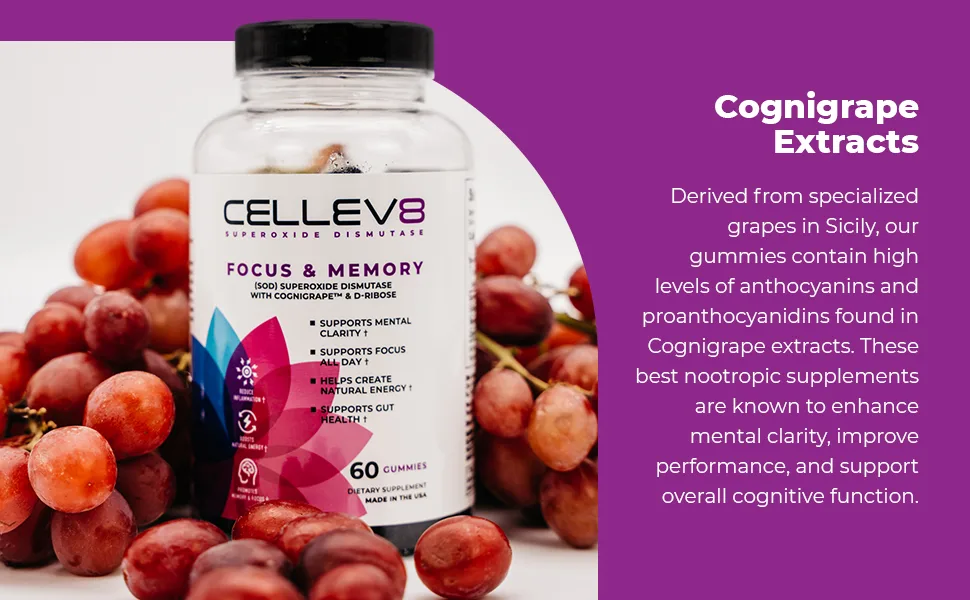 Cellev8 Focus & Memory Nootropic Gummies - Supports Cognitive Function Mental Clarity Sharpened Focus & Improved Memory - D-Ribose Energy Boost - Gluten Free Made in USA - Grape Flavor 60 Count - Focus & Memory