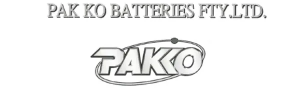 Kitstar PAKKO 23A 12V Battery Alkaline Doorbell Remote Control Anti-Theft Device 5 Count (Pack of 1) - Pakko battery