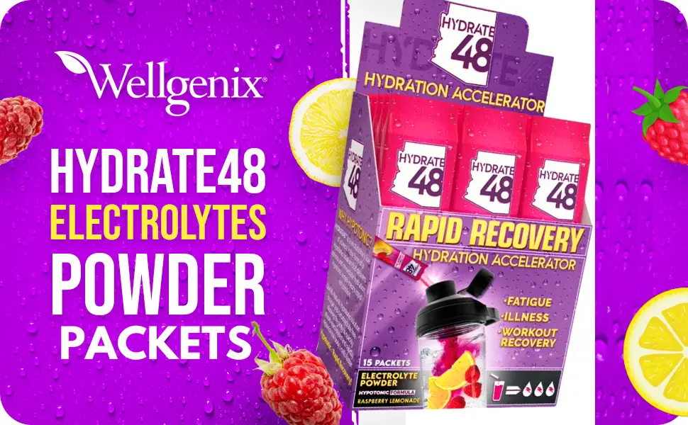Wellgenix Hydrate48 - Electrolyte Powder Packets with No Sugar (15 Packets) - Keto Electrolytes Powder Packets - Hydration Powder Packets - Raspberry Lemonade Flavor - electrolyte powder packets
