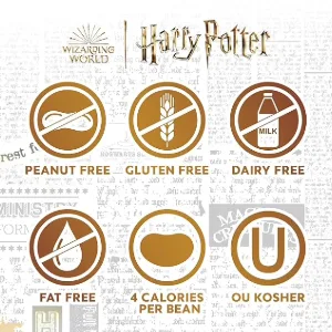 Harry Potter Bertie Bott's Every Flavour Beans 1.2 oz Box 6 Pack Assorted 1.2 Ounce (Pack of 6) - sldkvn