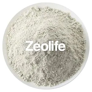 Zeolite-Activated 1 Gram per capsule Micronized Clinoptilolite 96% Purity. Ultra FINE includes 3 bottles. - product information 5
