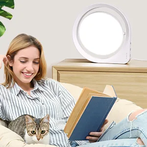 Light Therapy Lamp, MediAcous UV-Free 11000Lux Therapy Light, Happy Lamp with 4 Brightness Levels & Color Temperature & Timer, Daylight Lamp with Memory Function for Home/Office/Decoration - boost mood