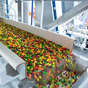 LifeSavers Hard Candy, 5 Flavor Fruit Assortment, Individually Wrapped, Bulk, 2Lbs., Delicious Assortment! Cherry, Raspberry, Watermelon, Orange & Pineapple (5 Flavor Mix) - candy