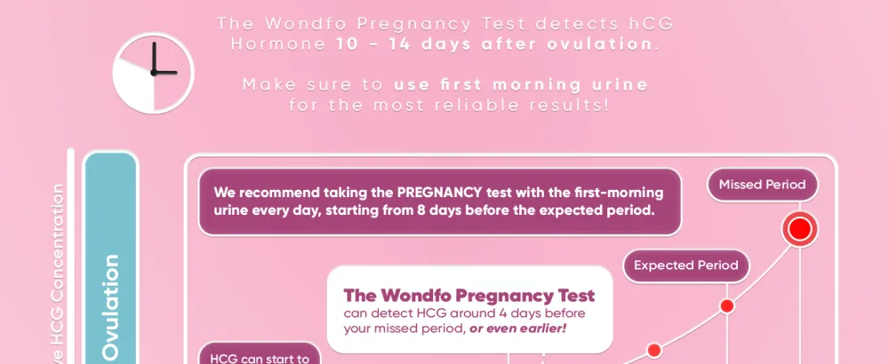 Wondfo Pregnancy Test - Detect HCG with 99% Accuracy - Easy to Use at Home HCG UrineTest with Fast and Reliable Results - 1 Count  - product information 6