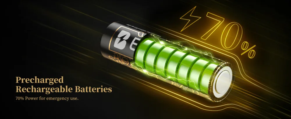 EBL Rechargeable AA Batteries 2800mAh 8 Counts Ni-MH AA Rechargeable Battery (Golden Top New Year-Loong Series) - rechargeable aa batteries