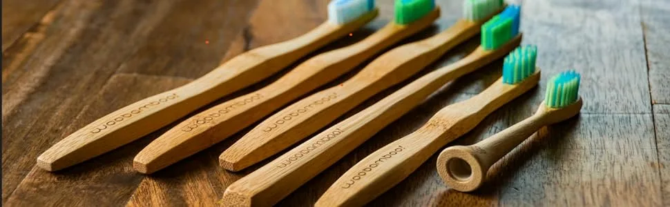 WooBamboo! All Natural Silk Dental Floss Zero Waste 66 feet of Mint-Flavored Floss (Pack of 4) - Woobamboo! range