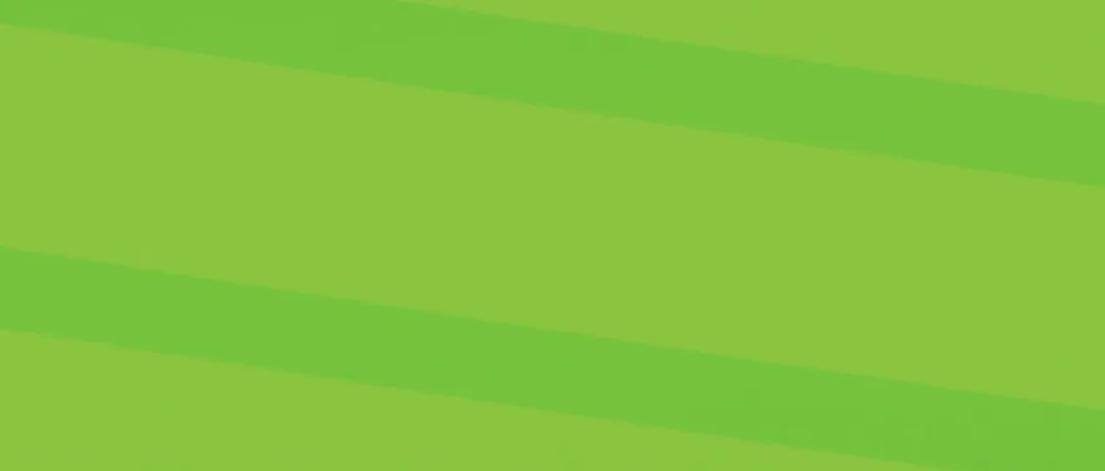 Lemon Scent BIO-Flow Drain Strips | Drain Cleaner & Deodorizer | Garbage Disposal Deodorizer | Sink Drain Cleaner - 24 Drain Strips - product information 1