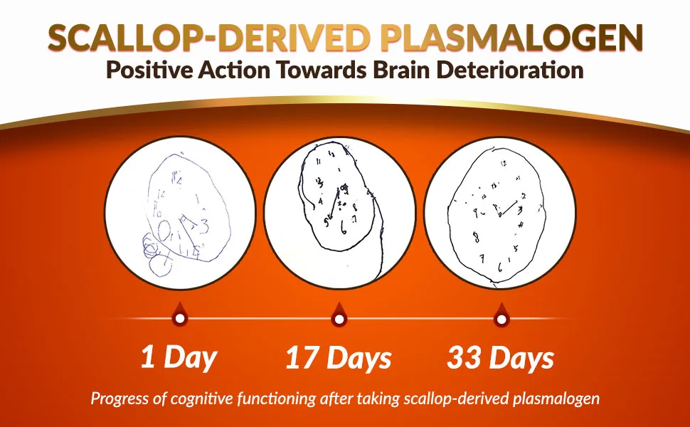 LABO Nutrition NeuroREGAIN - Scallop-derived PLASMALOGEN for Brain Deterioration, Memory, Alertness, Learning, Concentration and Other Cognitive Functions  Suitable for Seniors, Adult Men & Women - neuroregain-clock-drawing