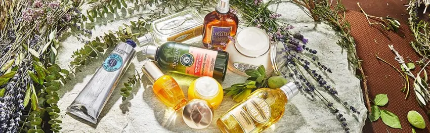 LOccitane, Shea Butter Hand Cream oz. no color, Shea Classic 1 oz. or 5.2 oz. 5.2 Ounce (Pack of 1) - loccitane background