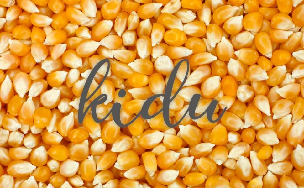 Kidu Popcorn Kernels Bulk Pack For Carnivals, Parties Summer Outdoor Events (4 Pound) 4 Pound (Pack of 1) - kidu popcorn kernels