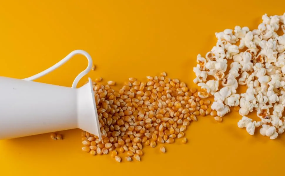 Kidu Popcorn Kernels Bulk Pack For Carnivals, Parties Summer Outdoor Events (4 Pound) 4 Pound (Pack of 1) - kidu unpopped popcorn kernels