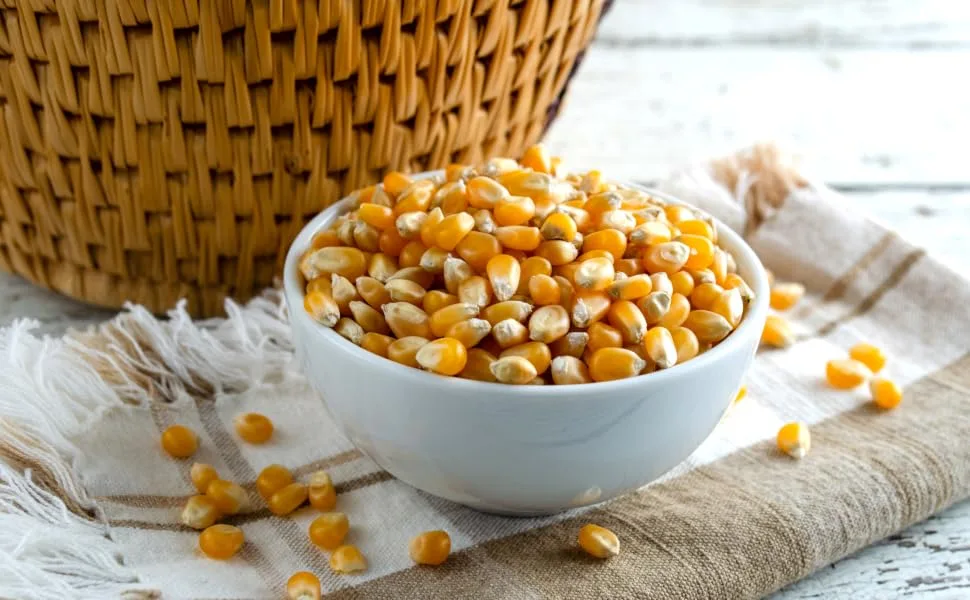 Kidu Popcorn Kernels Bulk Pack For Carnivals, Parties Summer Outdoor Events (4 Pound) 4 Pound (Pack of 1) - popcorn seeds