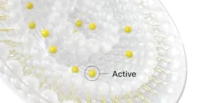 ZITCONTROL SPF50 - 2-in-1 SPF 50 Sunscreen + Acne Treatment - product information 7