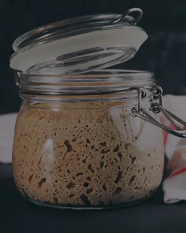 Freshly Fermented - Certified Organic Thermophilic Vegan Soya Yoghurt Starter - Sourdough Starter