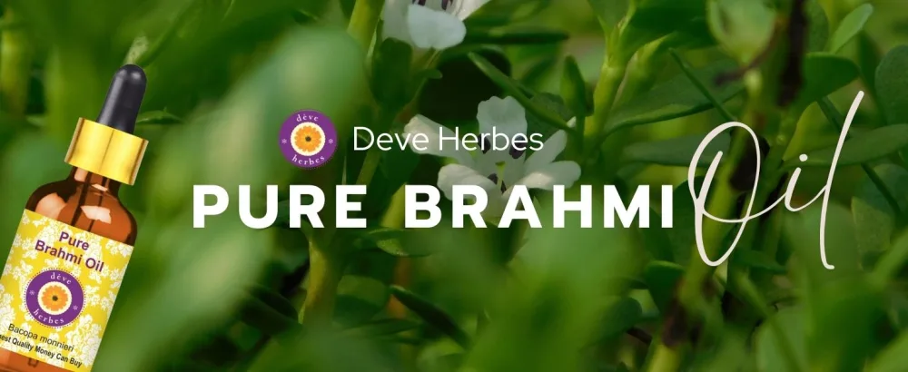 Deve Herbes Pure Brahmi Oil (Bacopa monnieri) 100% Natural Therapeutic Grade for Personal Care 50ml (1.69oz) - Vitamin E