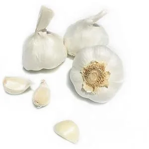 Kejora Fresh Garlic Bulbs - Qty : 5 Bulbs - Kejora Garlic
