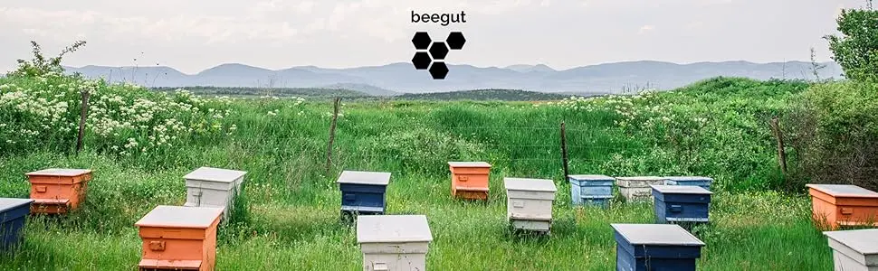 Lip Balm Propolis Manuka Honey - Beegut general header