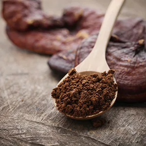 Reishi Instant Hydrating Lotion - Beauty Boosting