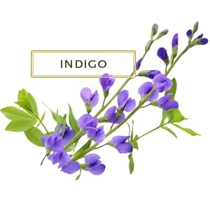 Kama Ayurveda Organic Indigo Powder 100g - product information 2
