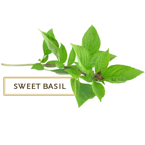 Kama Ayurveda Natural Tulsi Soap 125g - product information 3