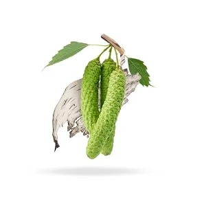 Polar White Birch. Pore-refining face cleanser - Polar White Birch Image