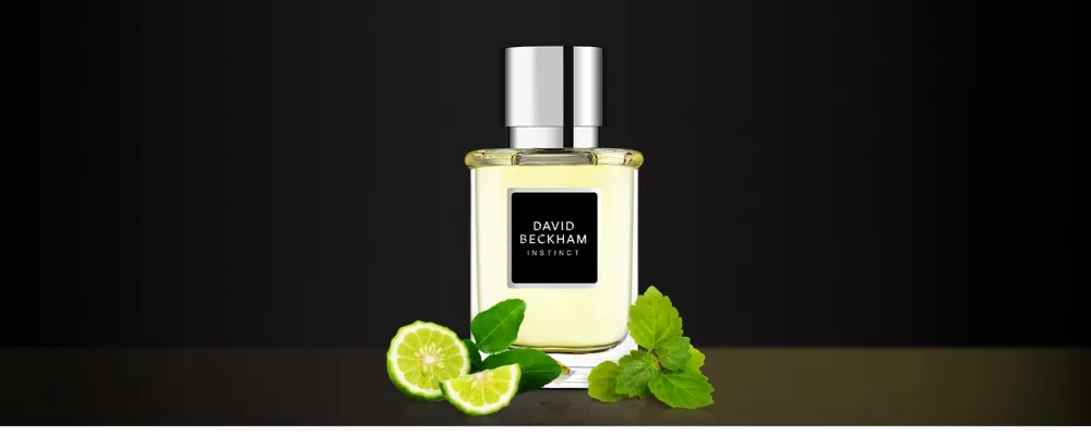 David Beckham Instinct Eau De Toilette Perfume for Men 30 ml aromatic citrus 30 ml - instinct