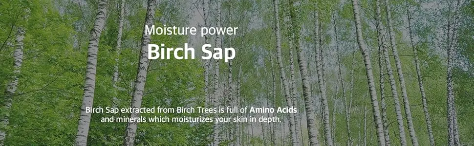 ROUND LAB Birch Juice Moisturizing Sun Cushion SPF 50+ PA++++ 15g - Round lab, moisturizer, sun essence, sun care