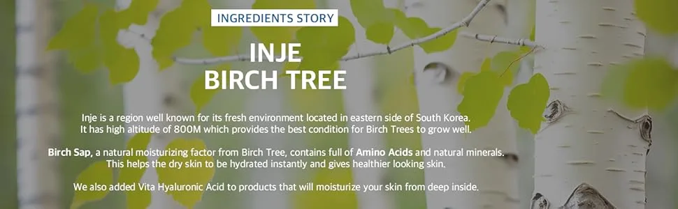 ROUND LAB Birch Juice Moisturizing Sun Cushion SPF 50+ PA++++ 15g - Round lab, moisturizer, sun essence, sun care