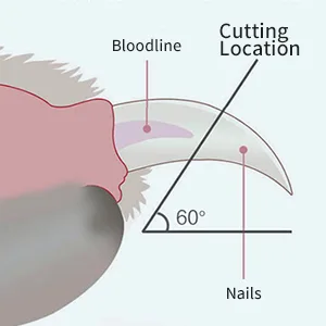 LIDOUKNail Clippers and Trimmers - with Safety Guard to Avoid Over Cutting Free Nail File Razor Sharp Blade - for Large and Small Animals. - product information 2
