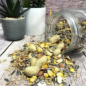 5 Litre Refill Bag Squirrel Mixture Premium Wild Life Food Garden Seed Feed (Weight 3kg/approx. 5L) - squirrel food