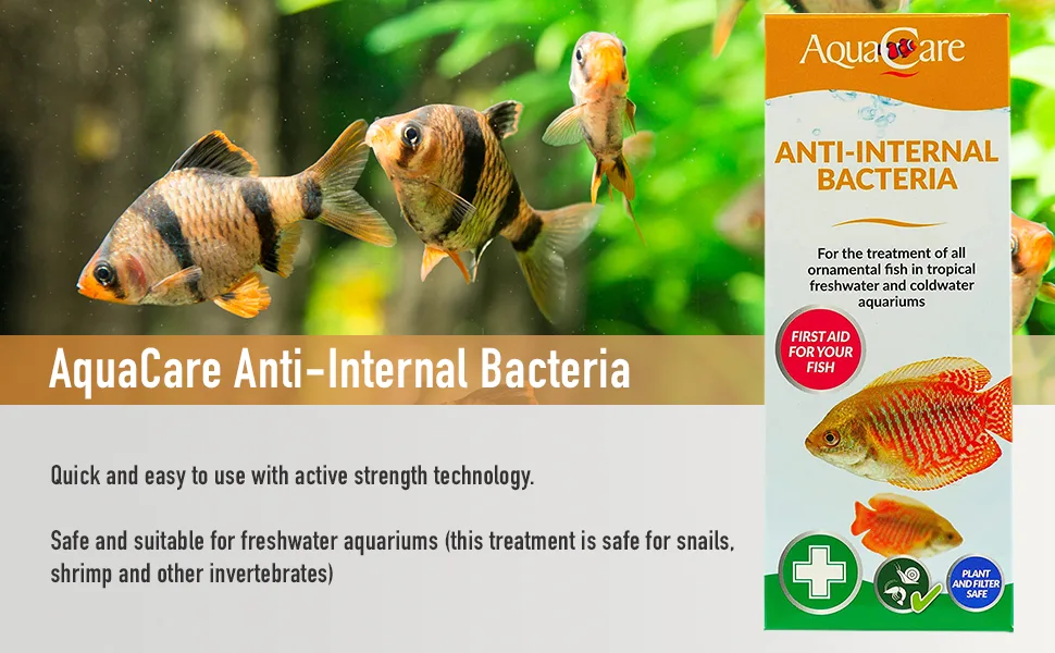 AquaCare Anti-Internal Bacteria 250ml - AquaCare Internal Bacteria